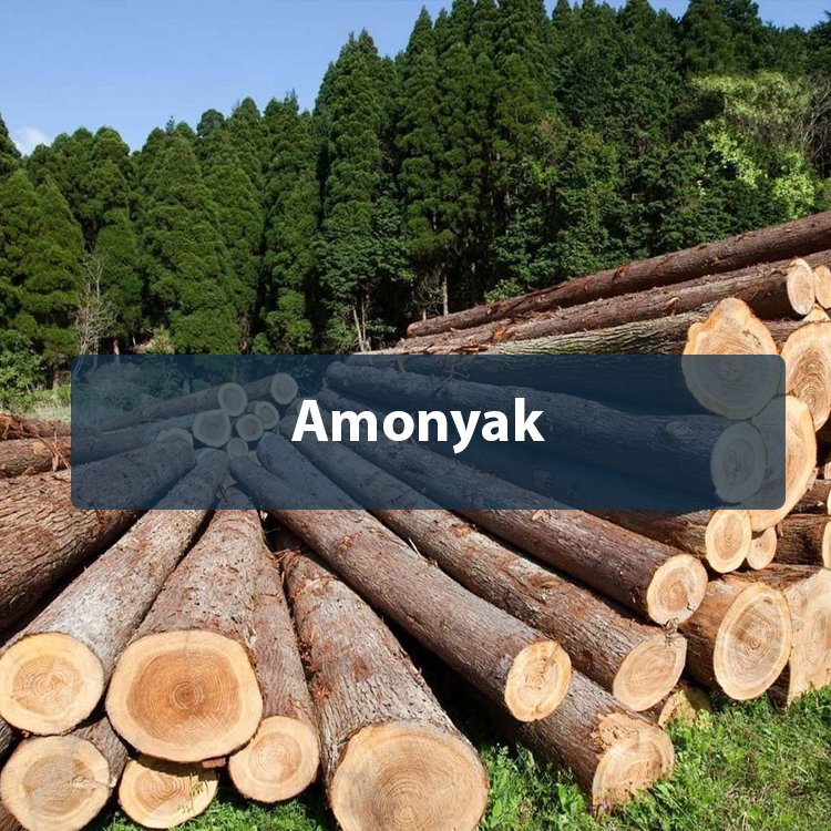 Amonyak