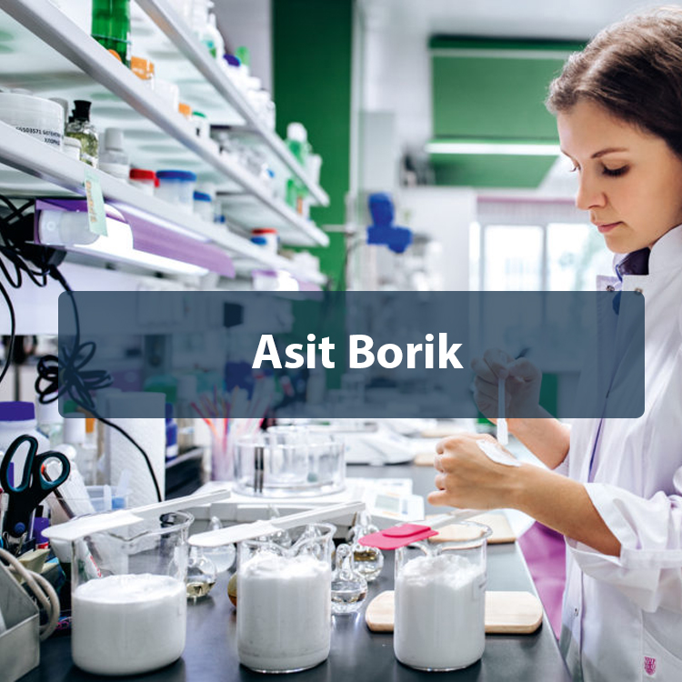 Asit Borik