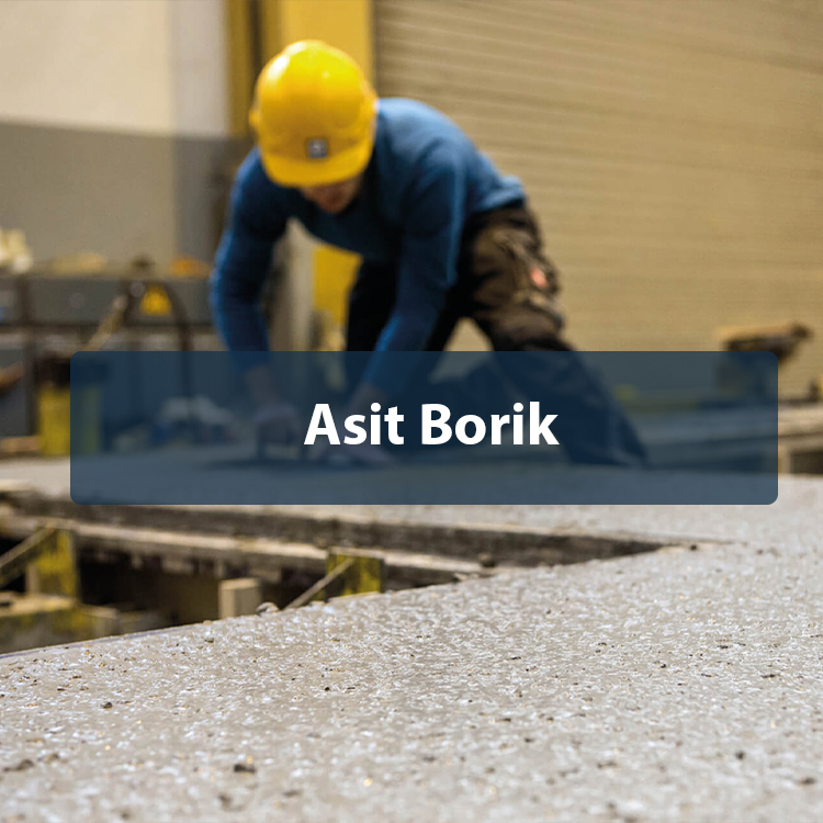 Asit Borik