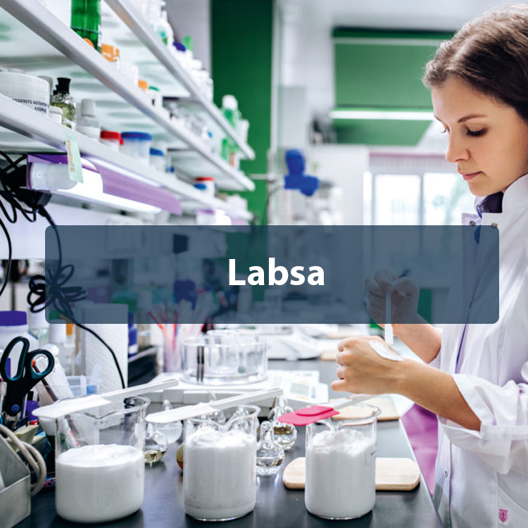 Labsa