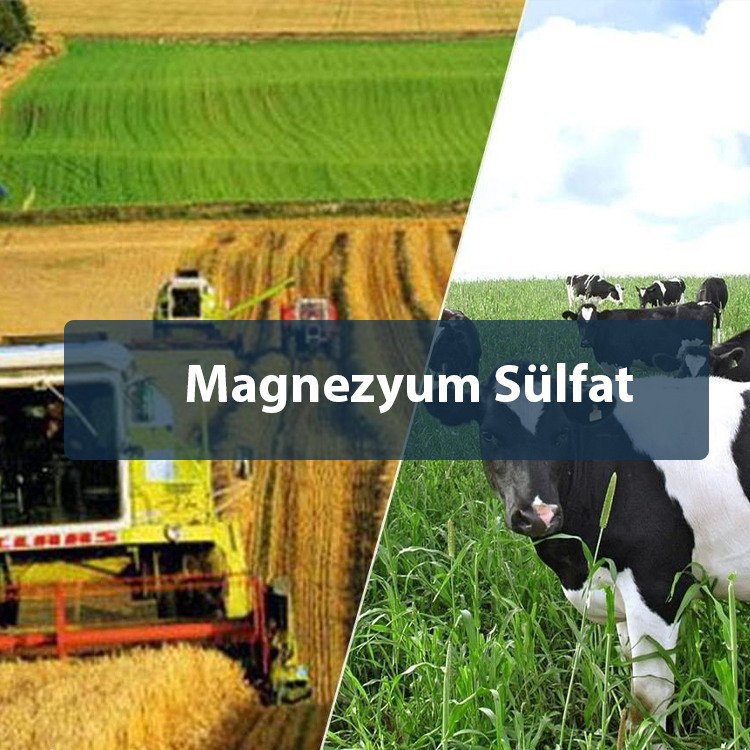 Magnezyum Sülfat