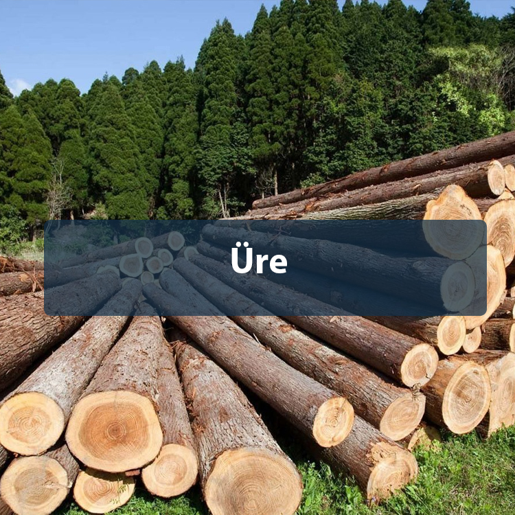 Üre